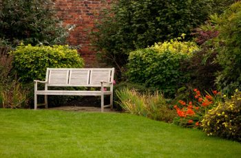 shot-white-bench-park shot-white-bench-park